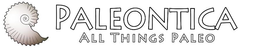 Stichting Paleontica